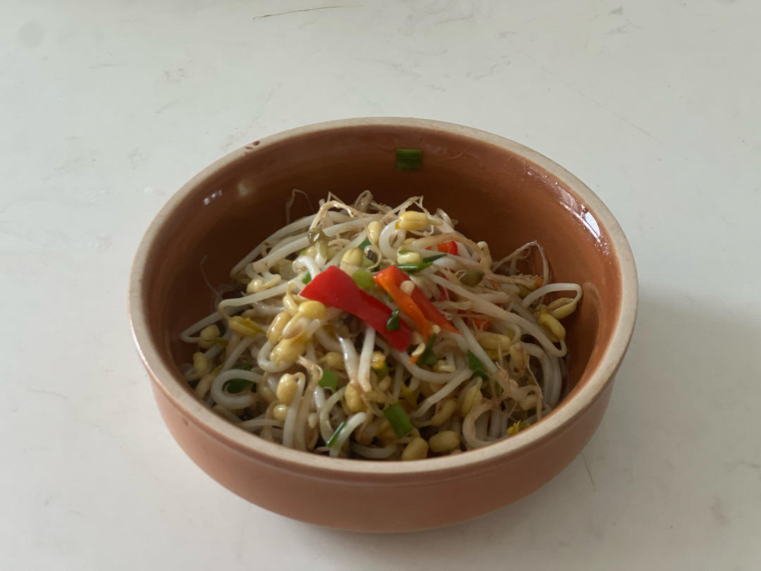 自发绿豆芽/自生豆芽/自制豆芽