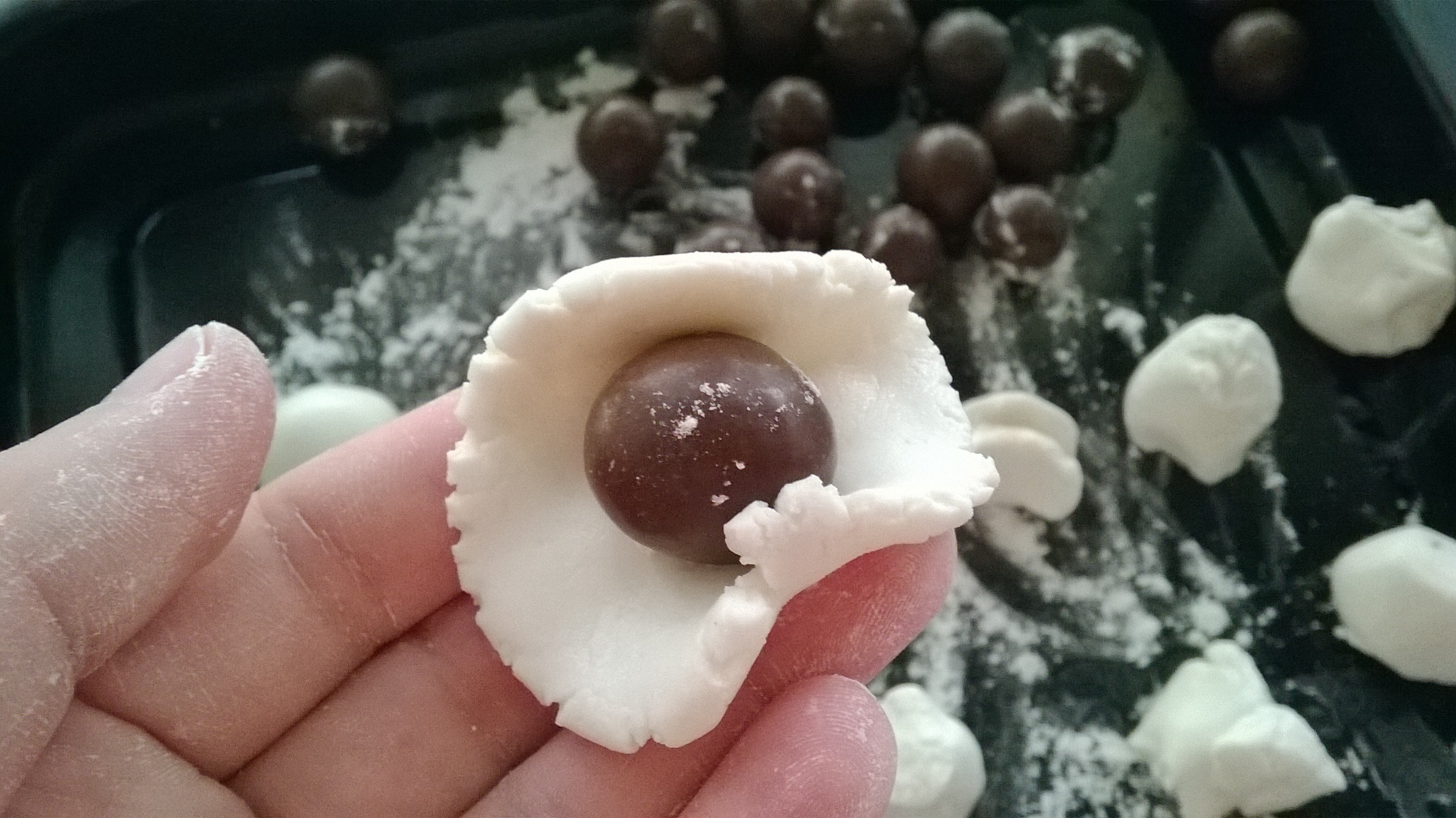 麦丽素汤圆