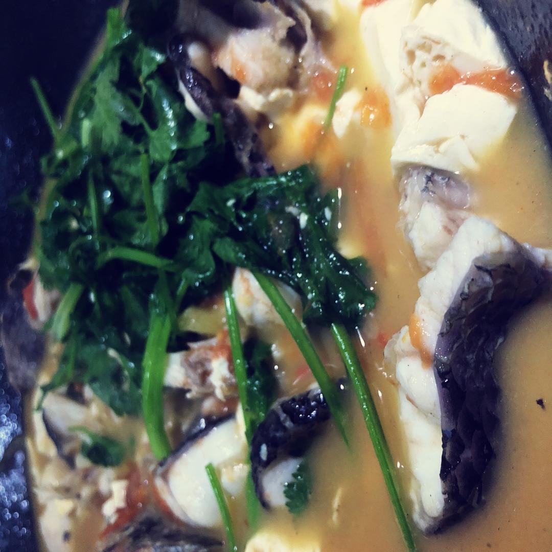 番茄黑鱼豆腐汤