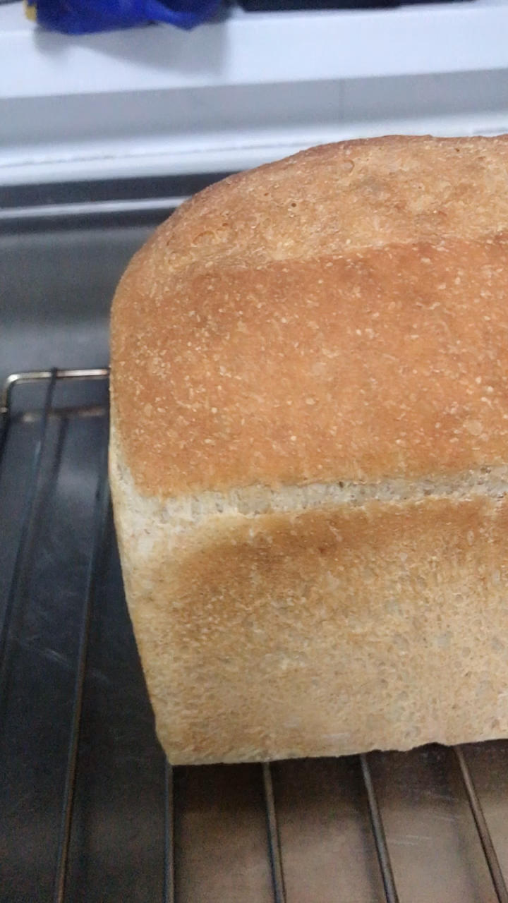 天然酵母全麦吐司（无糖无油无蛋）【消耗弃种】