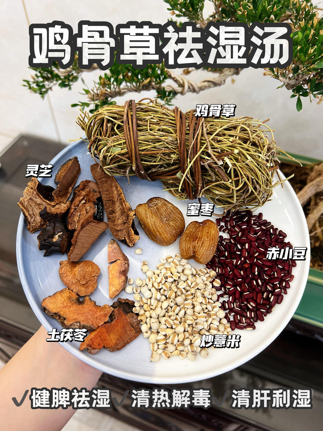 鸡骨草祛湿汤