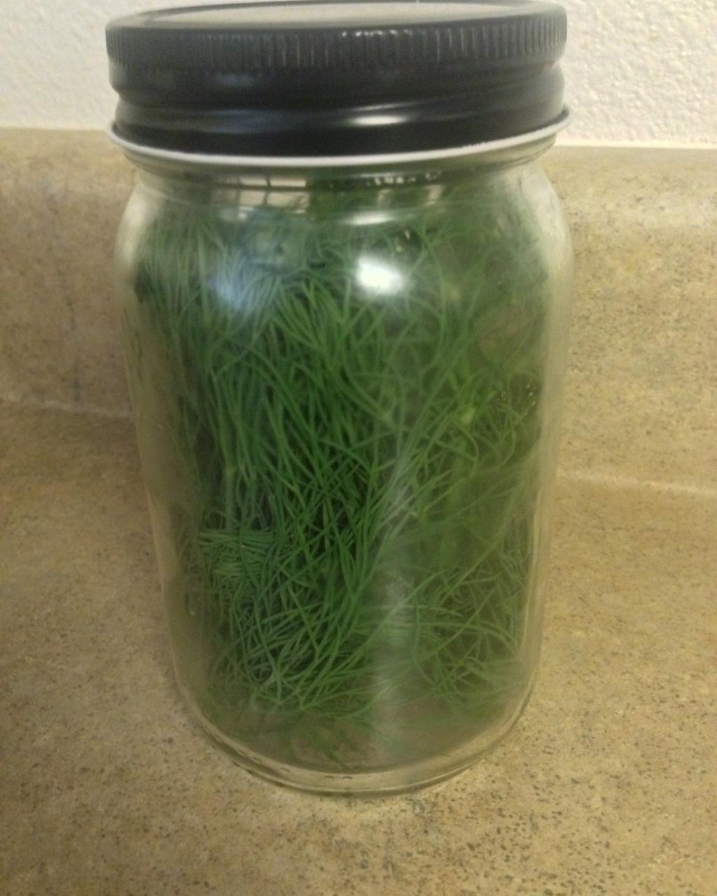 新鲜香料香草的保存