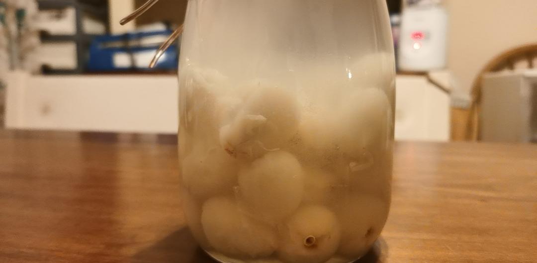 自酿桂味荔枝酒