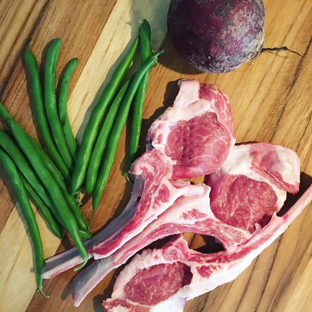 狗狗鲜食——色彩的密码