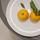 橘子Judy
