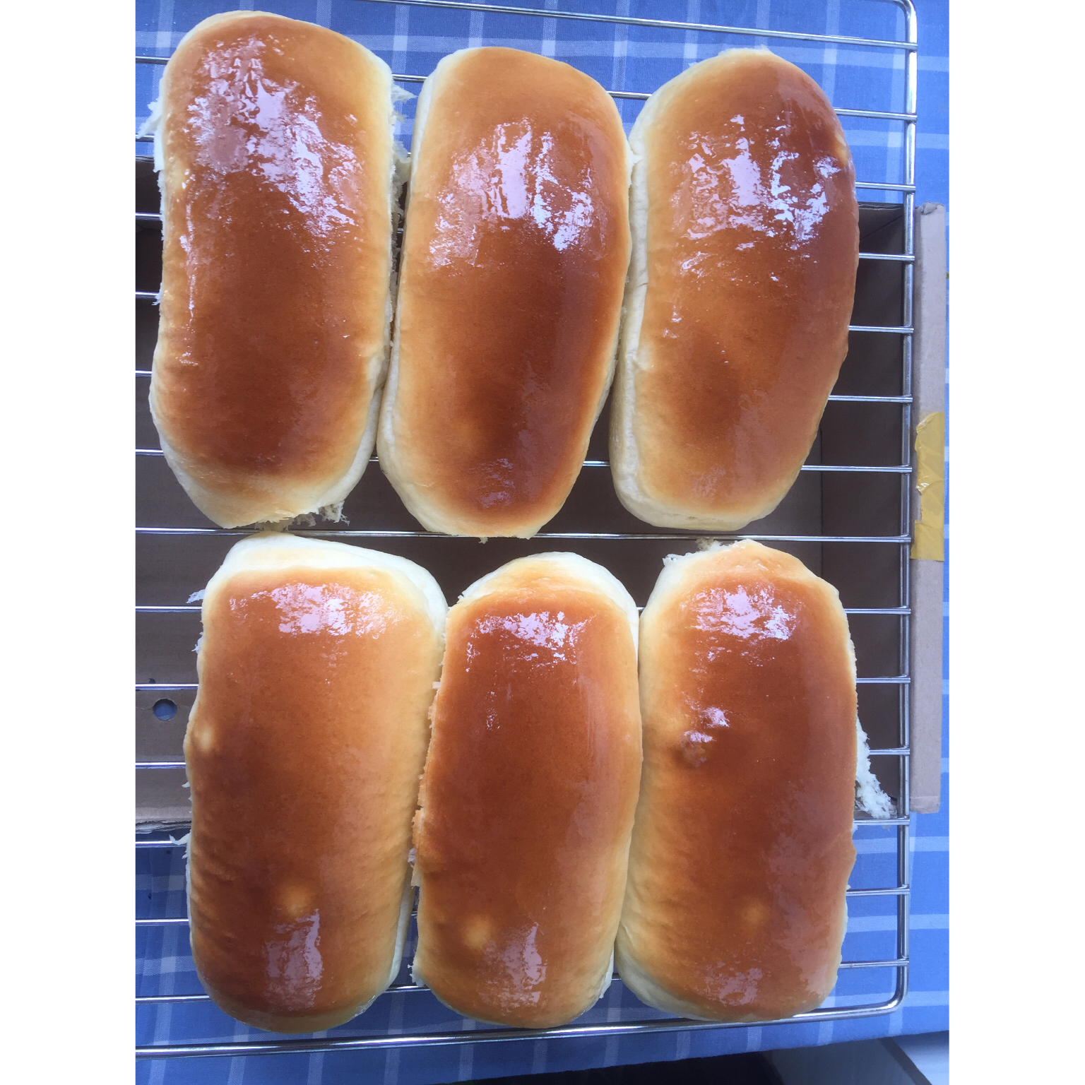 中种葡萄干面包（全部采用普通面粉制作的面包）