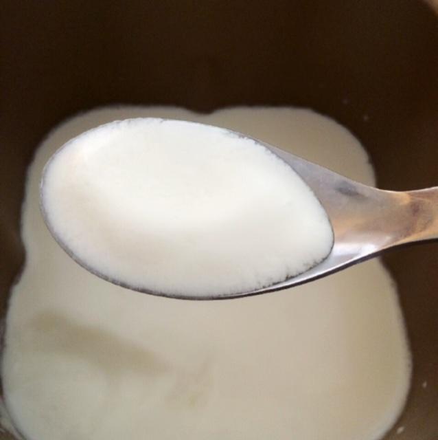 酸奶（面包机版）的做法