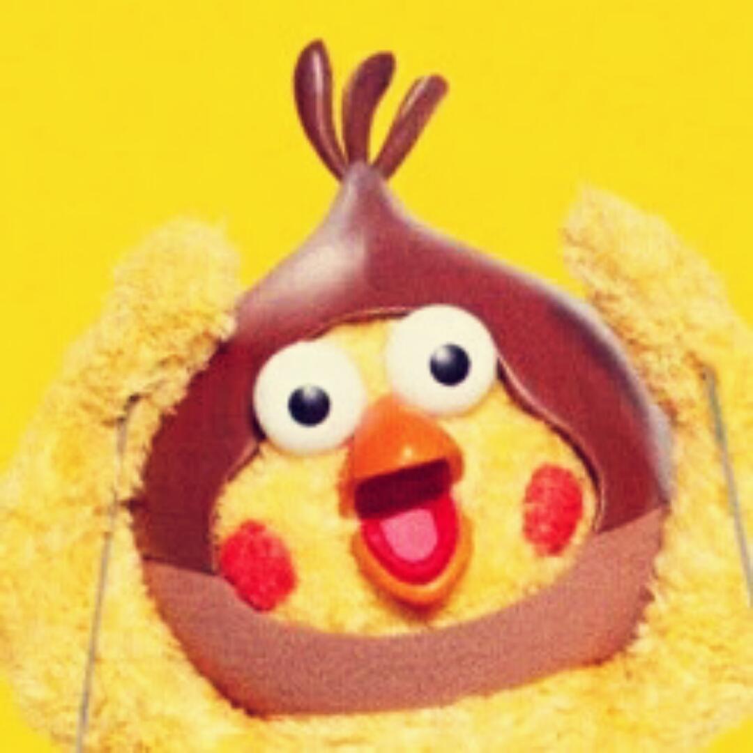 爱吃山楂酪的樱桃子