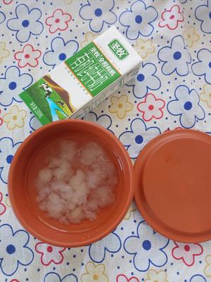 雪蛤木瓜炖牛奶的做法 步骤1
