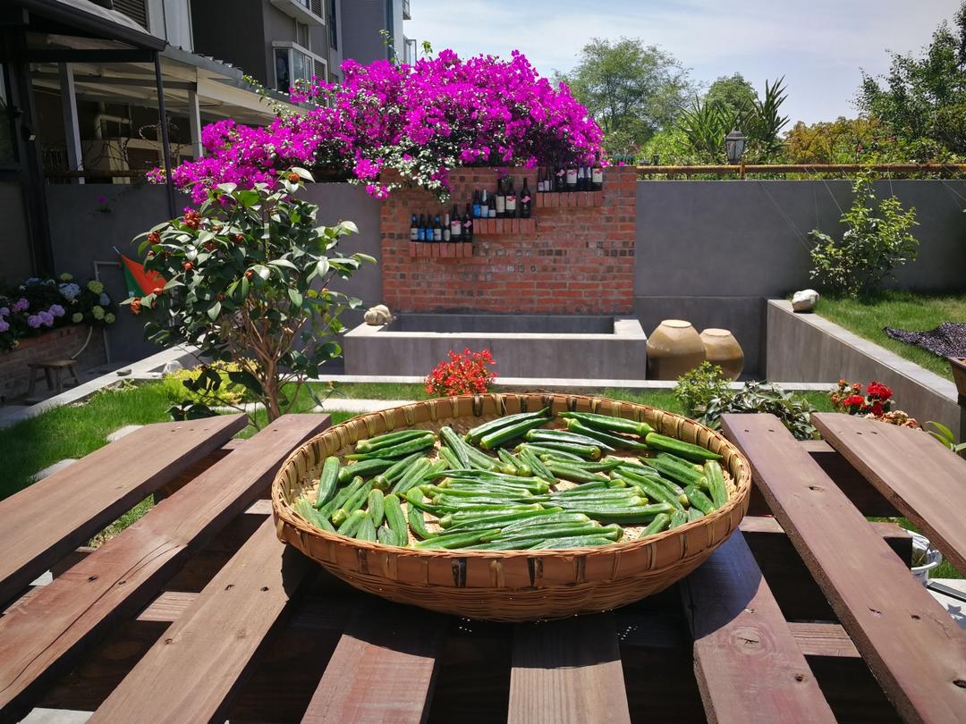 自制脱水蔬菜秋葵干