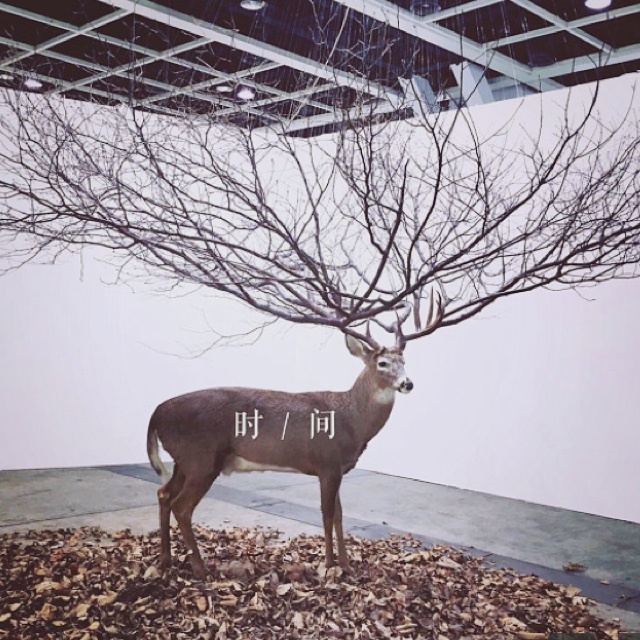 笨nana疯掉了