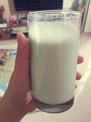薄荷冰牛奶的做法 步骤3