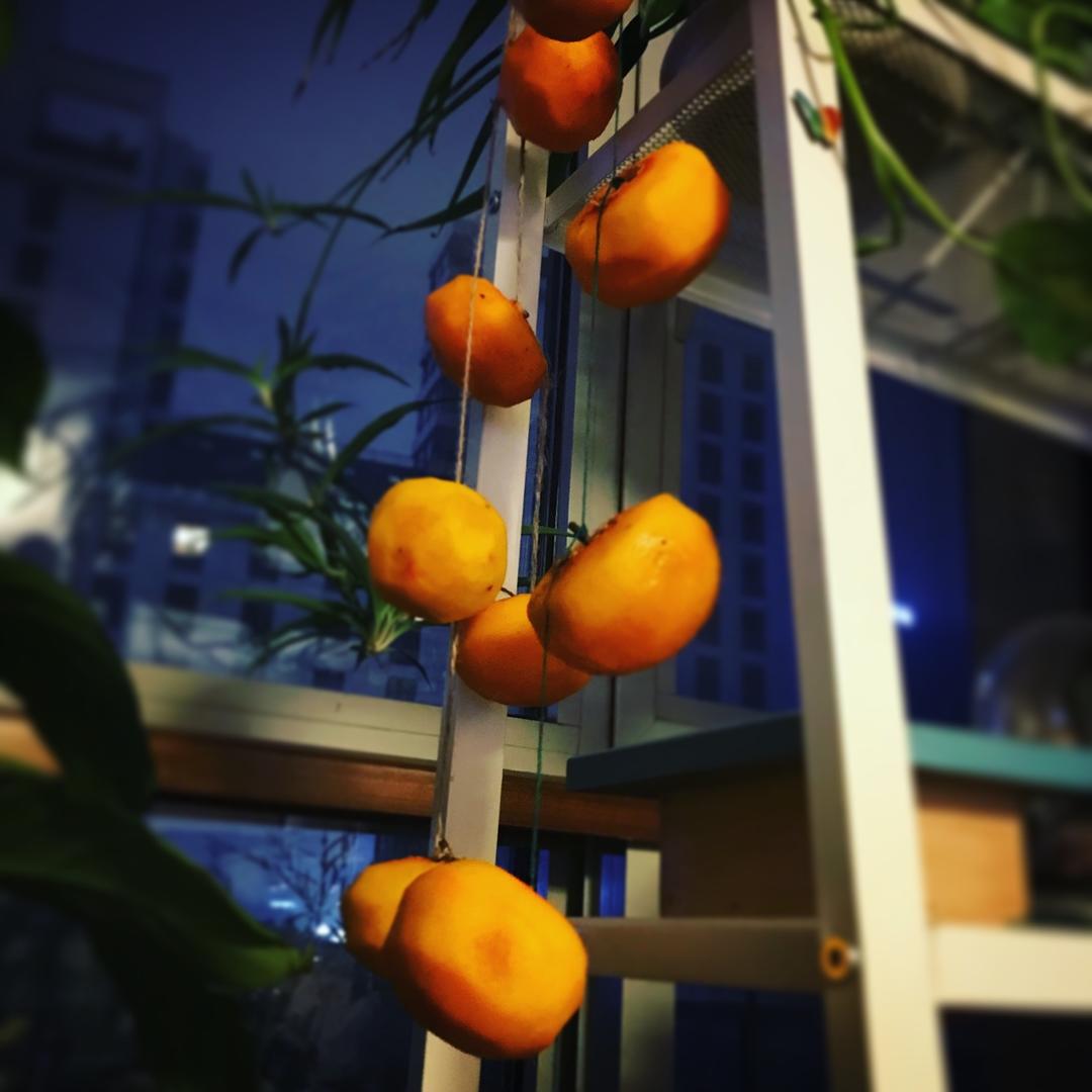 【小森林】柿子干