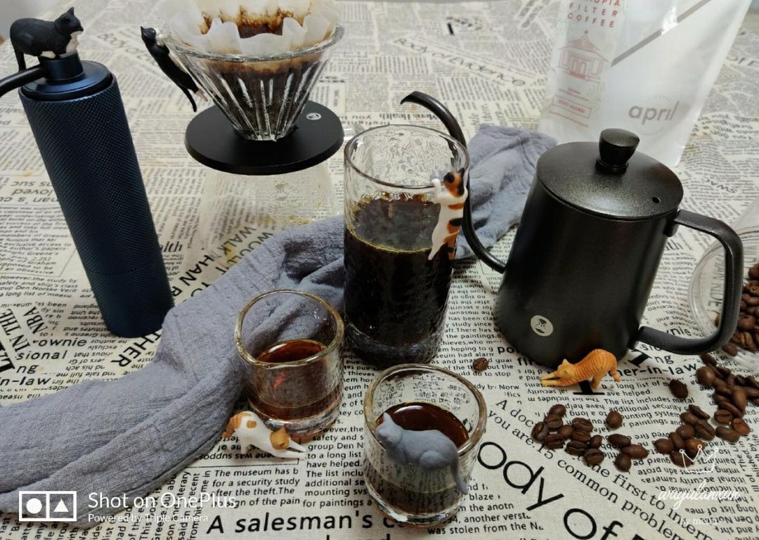 但凭手冲一杯[咖啡]