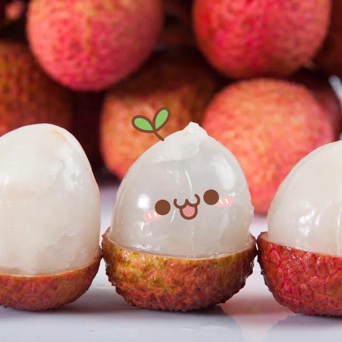 爱倒腾的白羊女