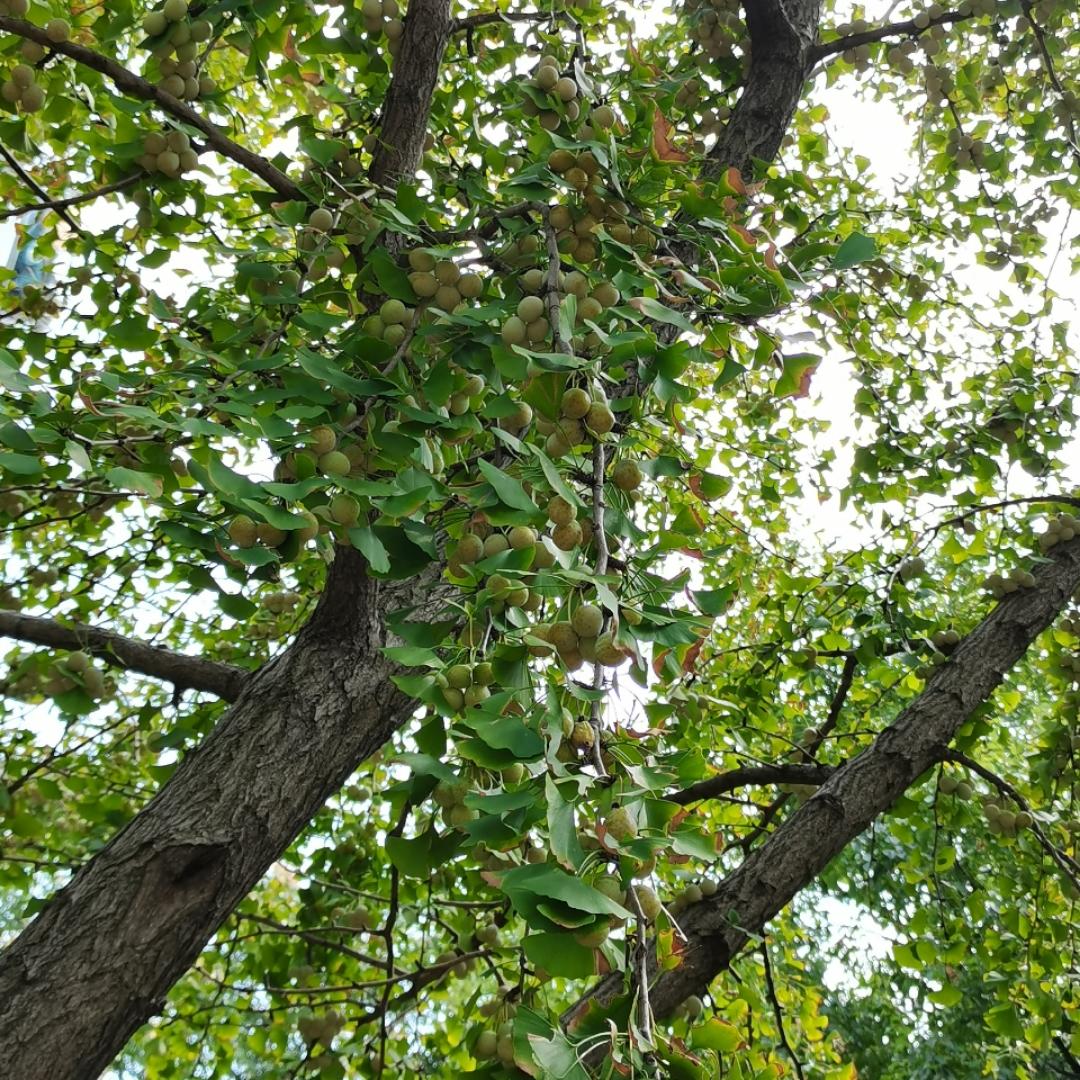 波波斯斯的厨房