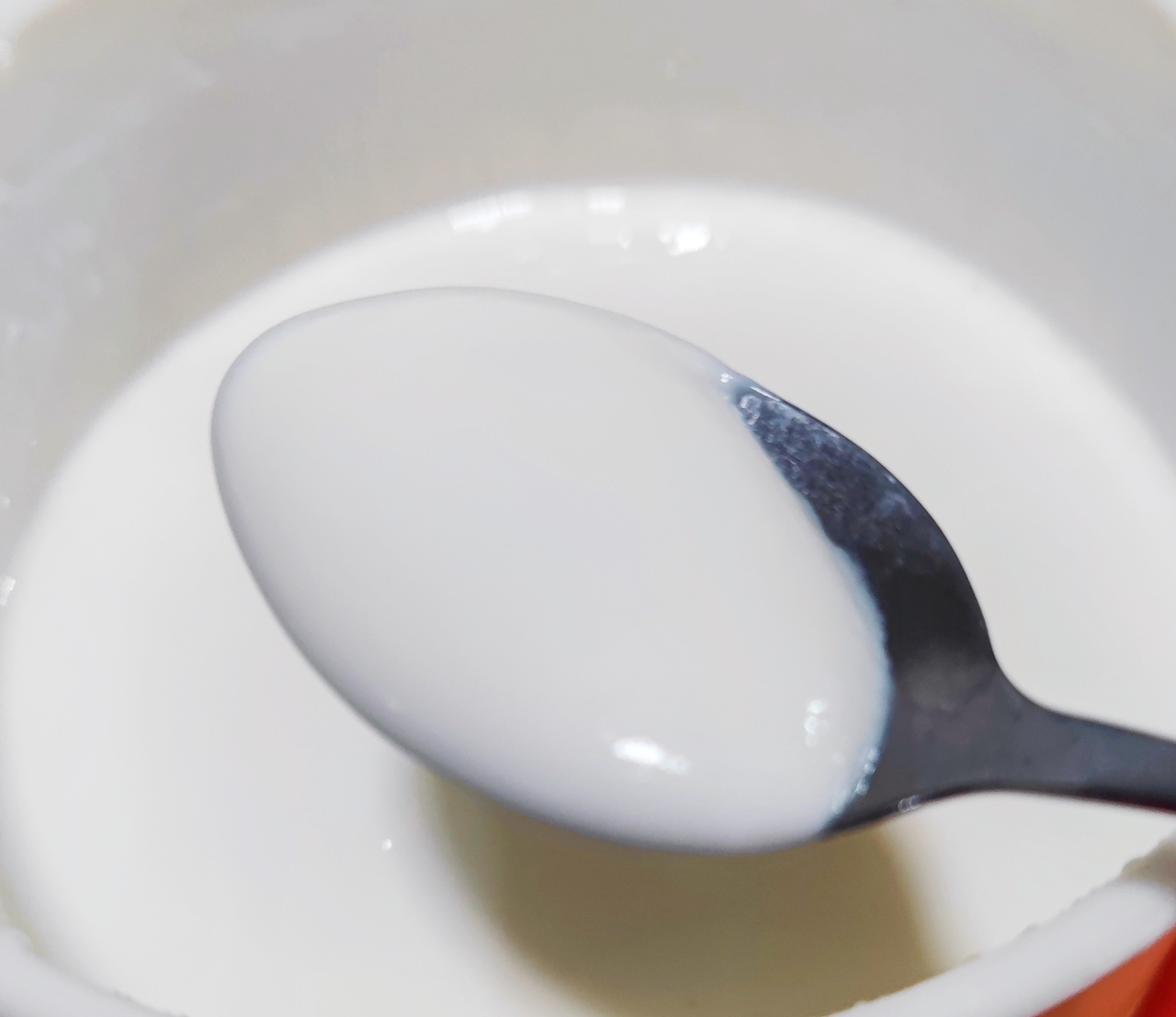 自制酸奶简述
