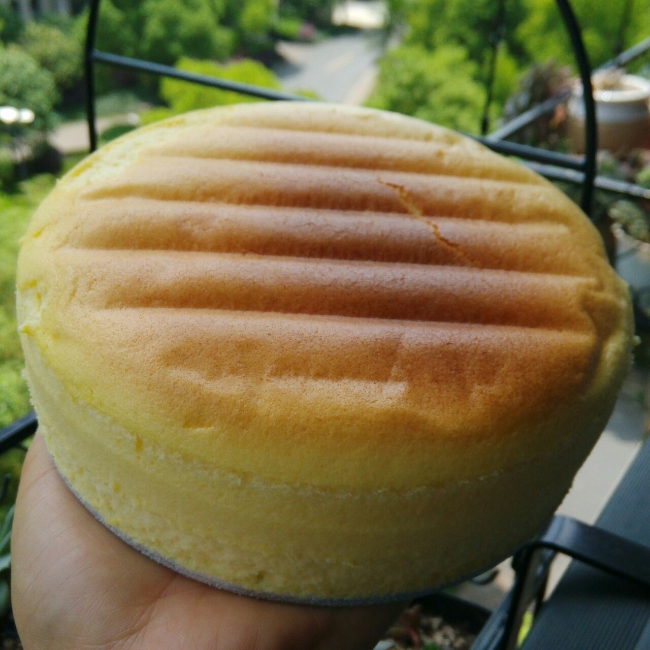 轻乳酪蛋糕