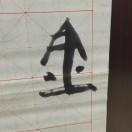 一碗一碗米饭