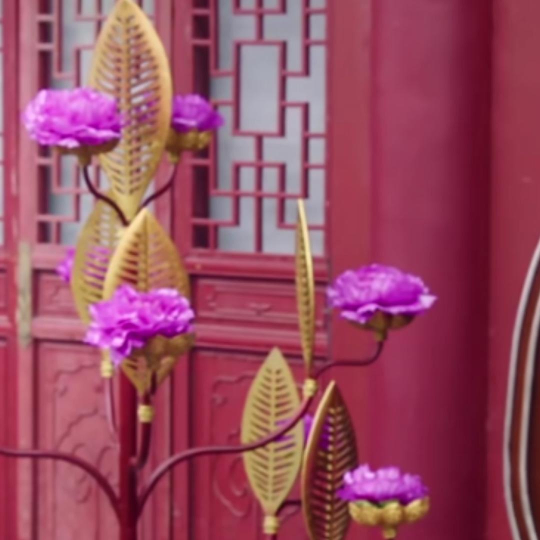 绿萝酱子的厨房