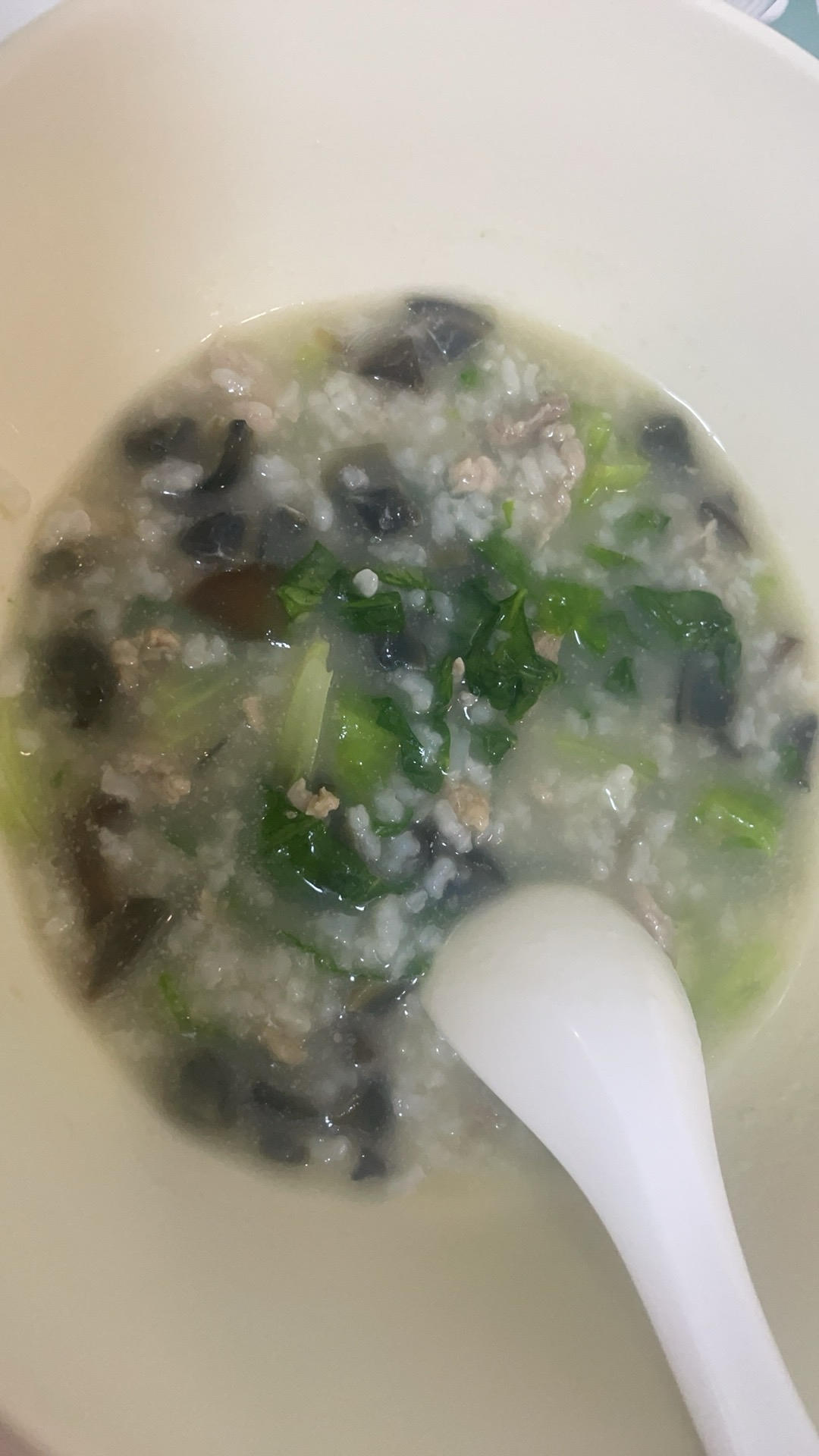 零失败皮蛋瘦肉粥（适合厨房新手）