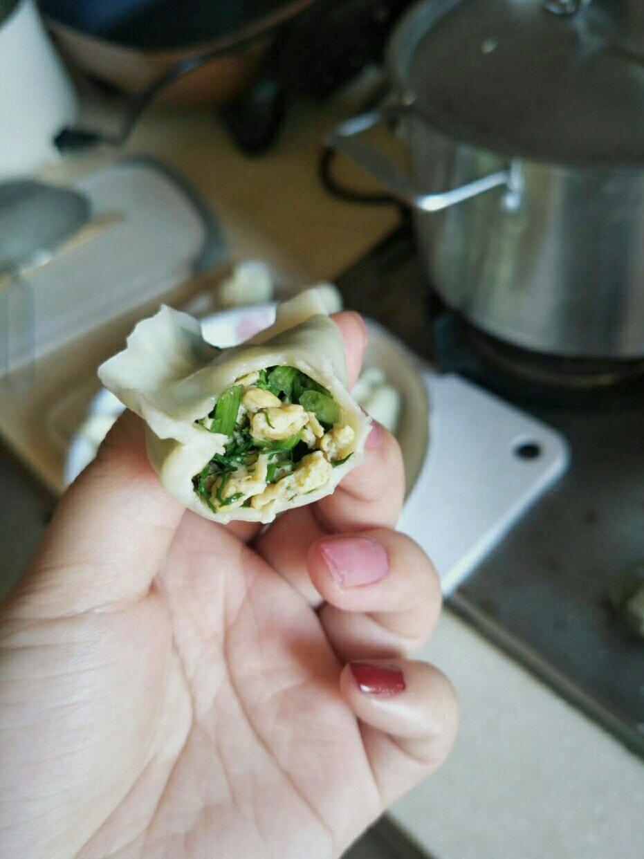茴香鸡蛋素饺子