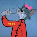 汤姆猫与海绵宝宝