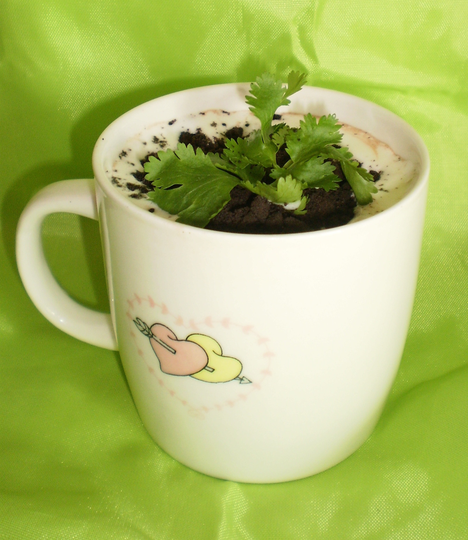 盆栽奶茶