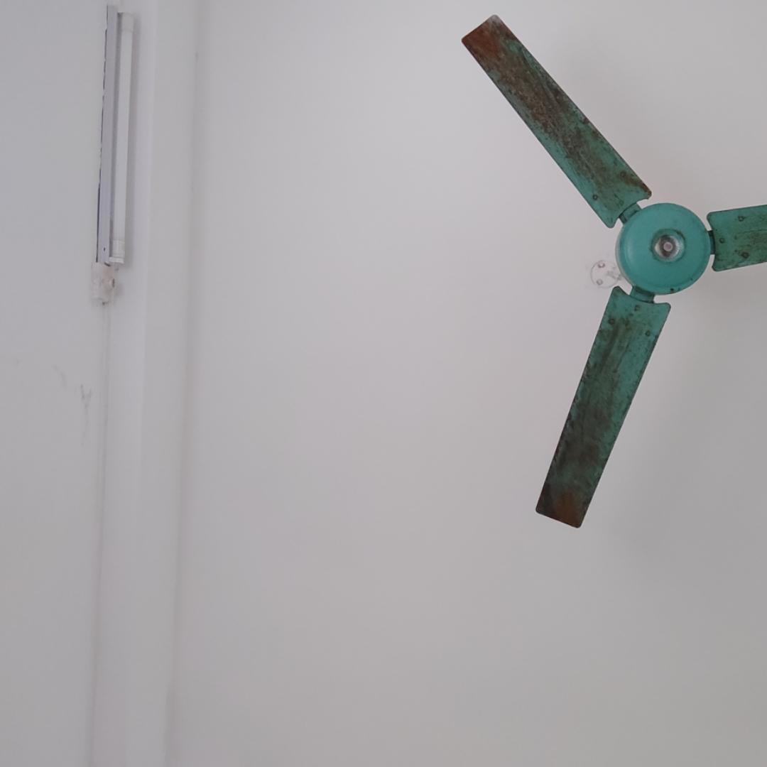 空黼黻