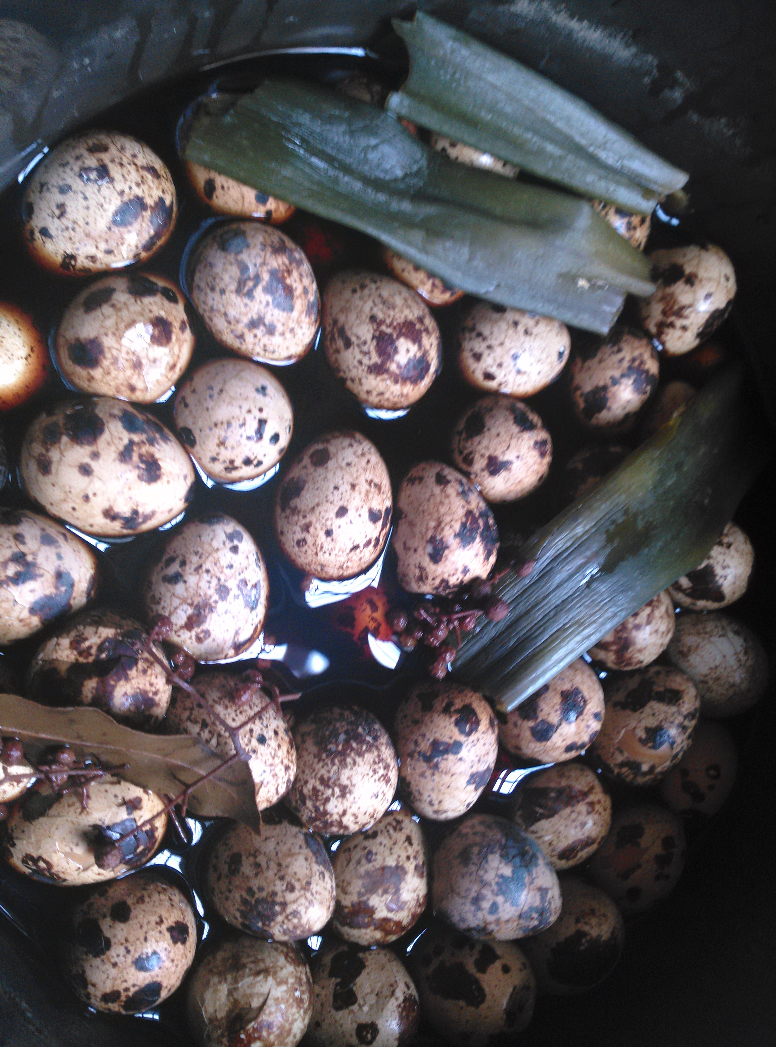 超简单五香鹌鹑蛋