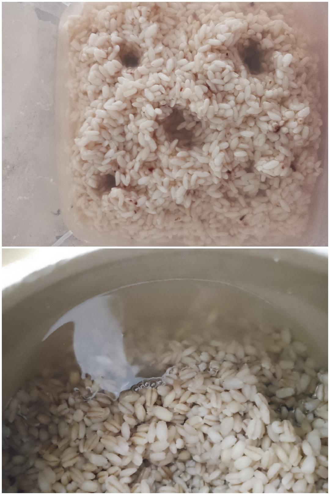 大麦酒酿/糯米酒酿