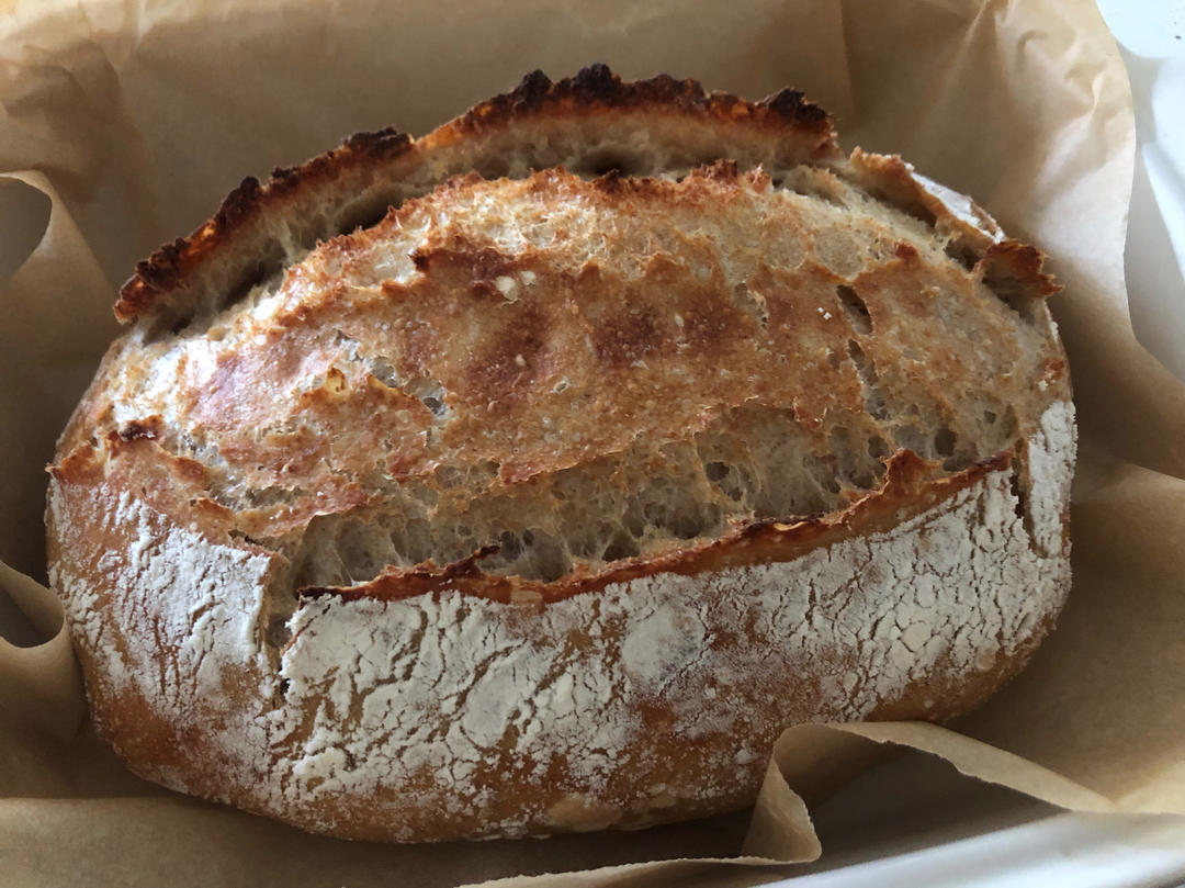 超详细每天五分钟免揉面包之经典万能无油糖面包