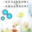 微信用户_exe4