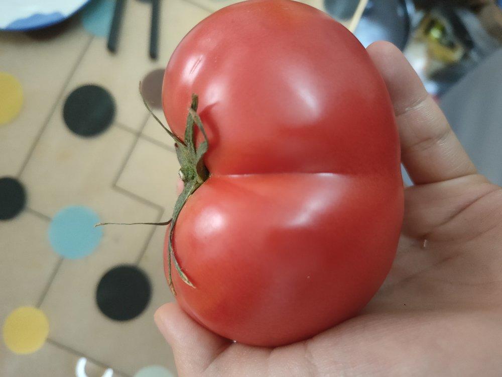 米饭杀手—醋卤鸡（2.0版）丨健康·三餐