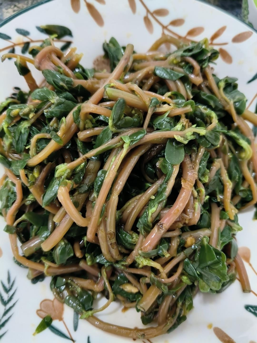 凉拌马马菜（凉拌马齿苋）