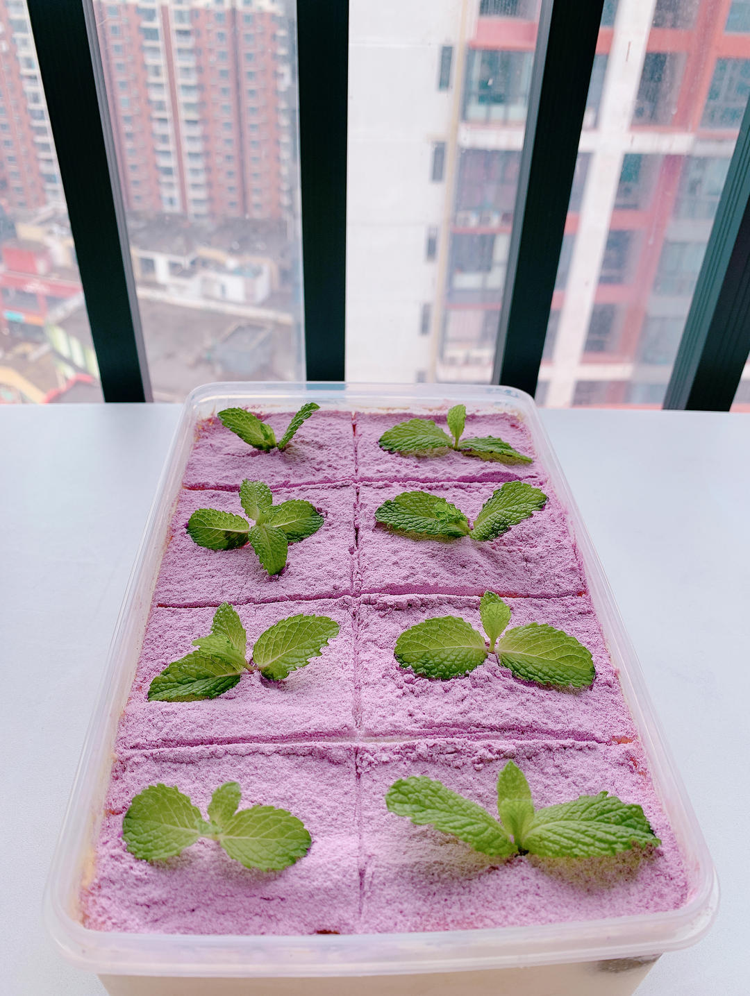 🍵日式抹茶提拉米苏，是春天的感觉，春天是远道而来的浪漫💕