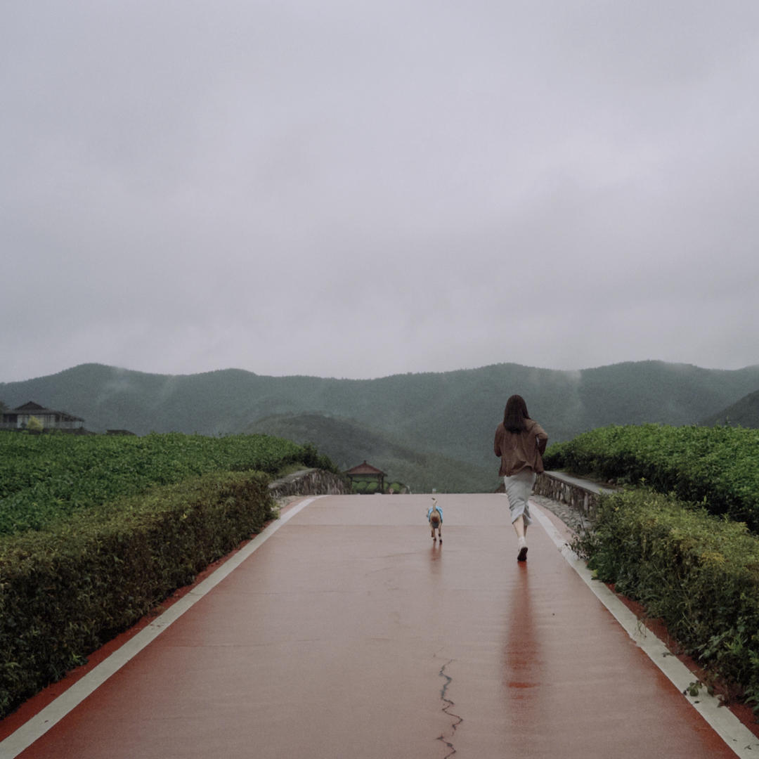 翠锅打烂他的碗