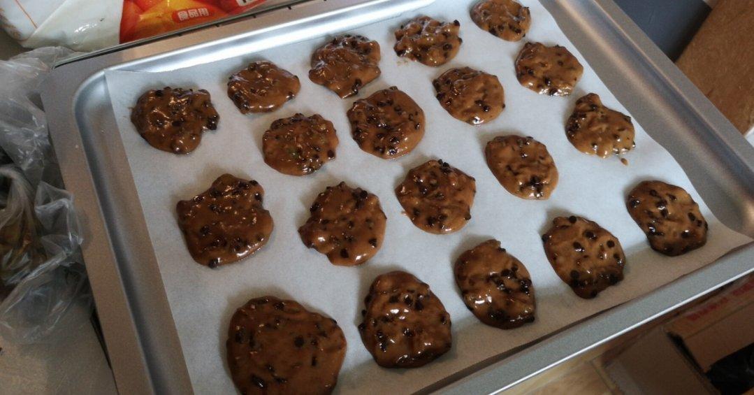 素食版葡萄巧克力软曲奇