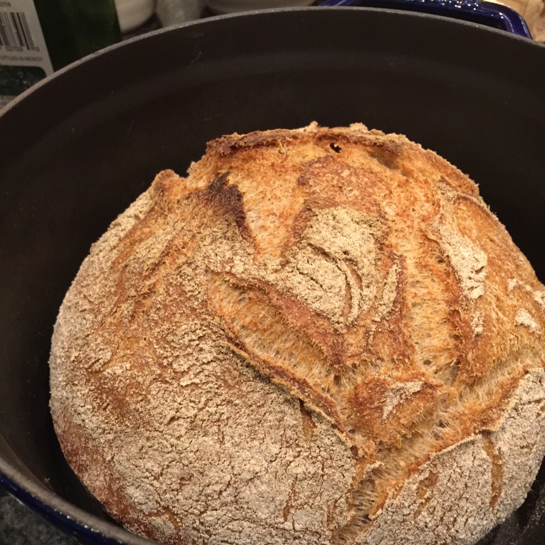 欧包/乡村面包-无油不用揉 No Knead Bread