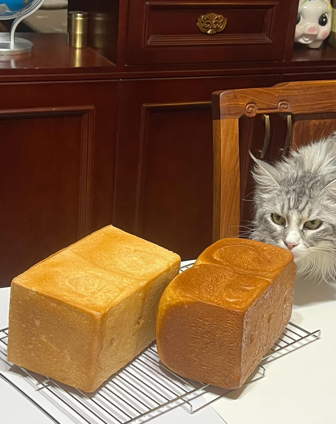 三能低糖吐司🍞
