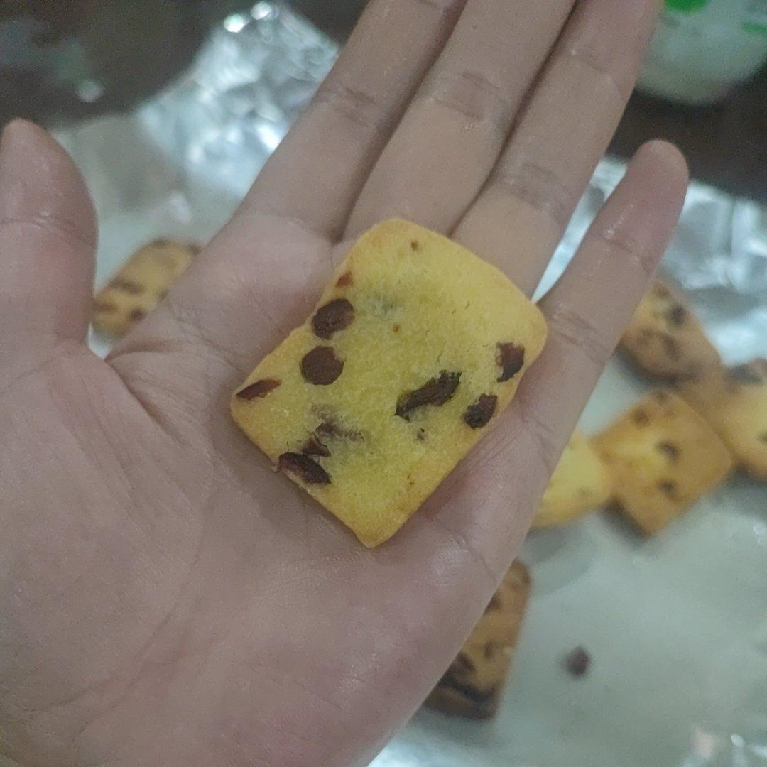 蔓越莓饼干 蔓越莓曲奇