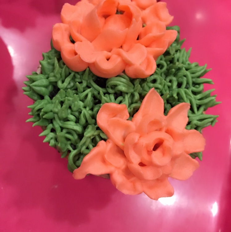 多肉植物杯子蛋糕 裱花教程