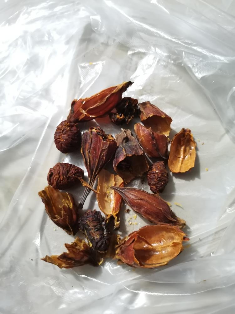 韩式黄大根(酸酸甜甜开胃)的做法 步骤4