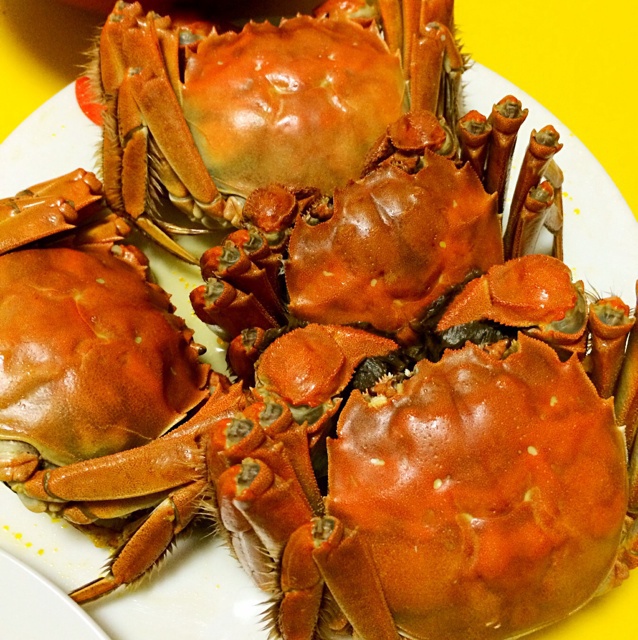 【清蒸螃蟹图片】long佳_下厨房