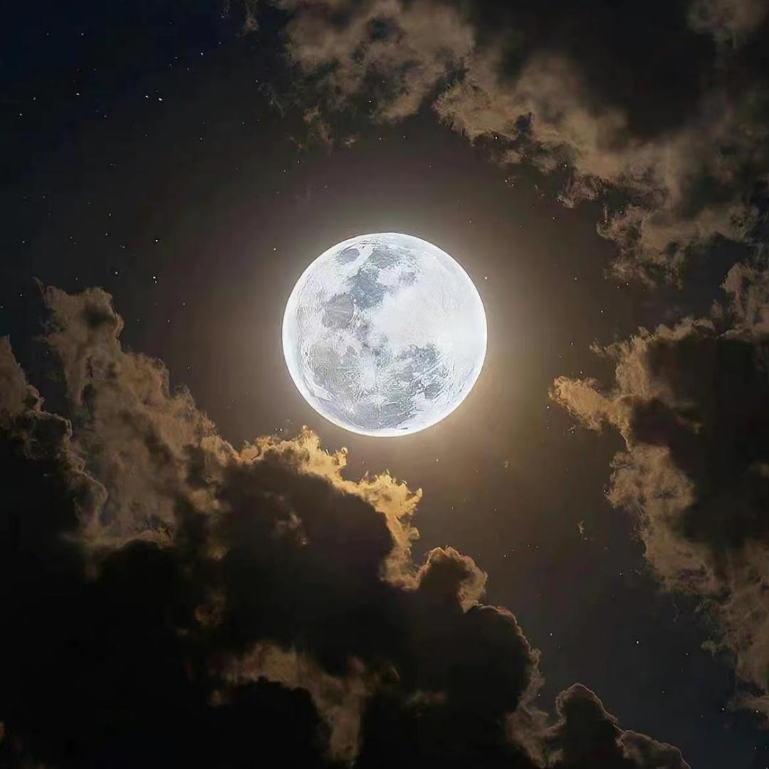 菠萝你个小芒果