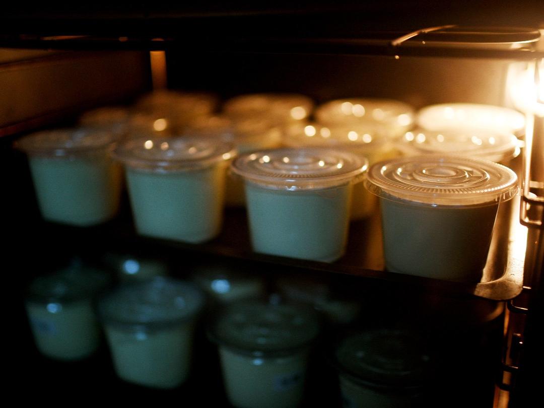 🥛0失败-浓郁顺滑-可拉丝酸奶（牛奶版，奶酪版，奶粉版）