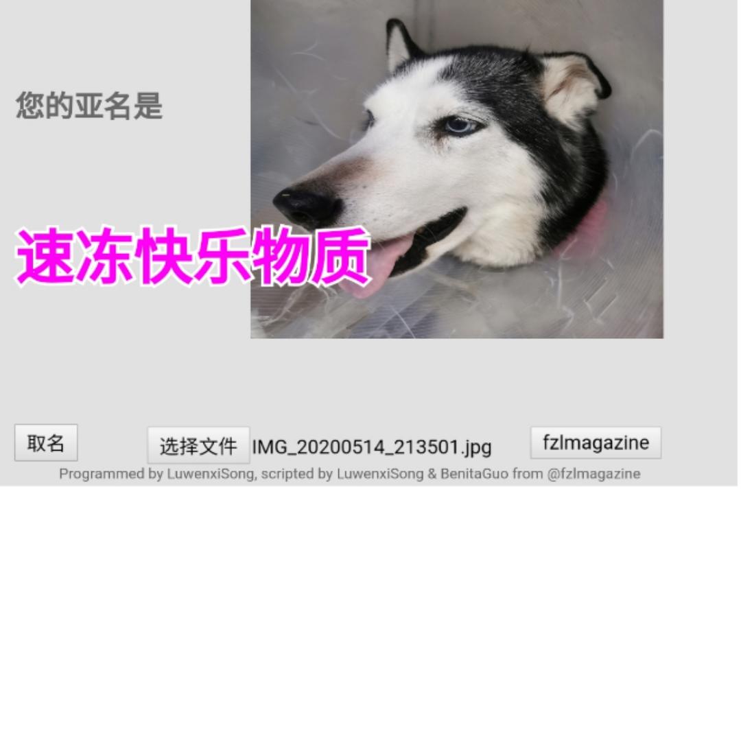 puppy阿哔哔