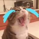 FangC