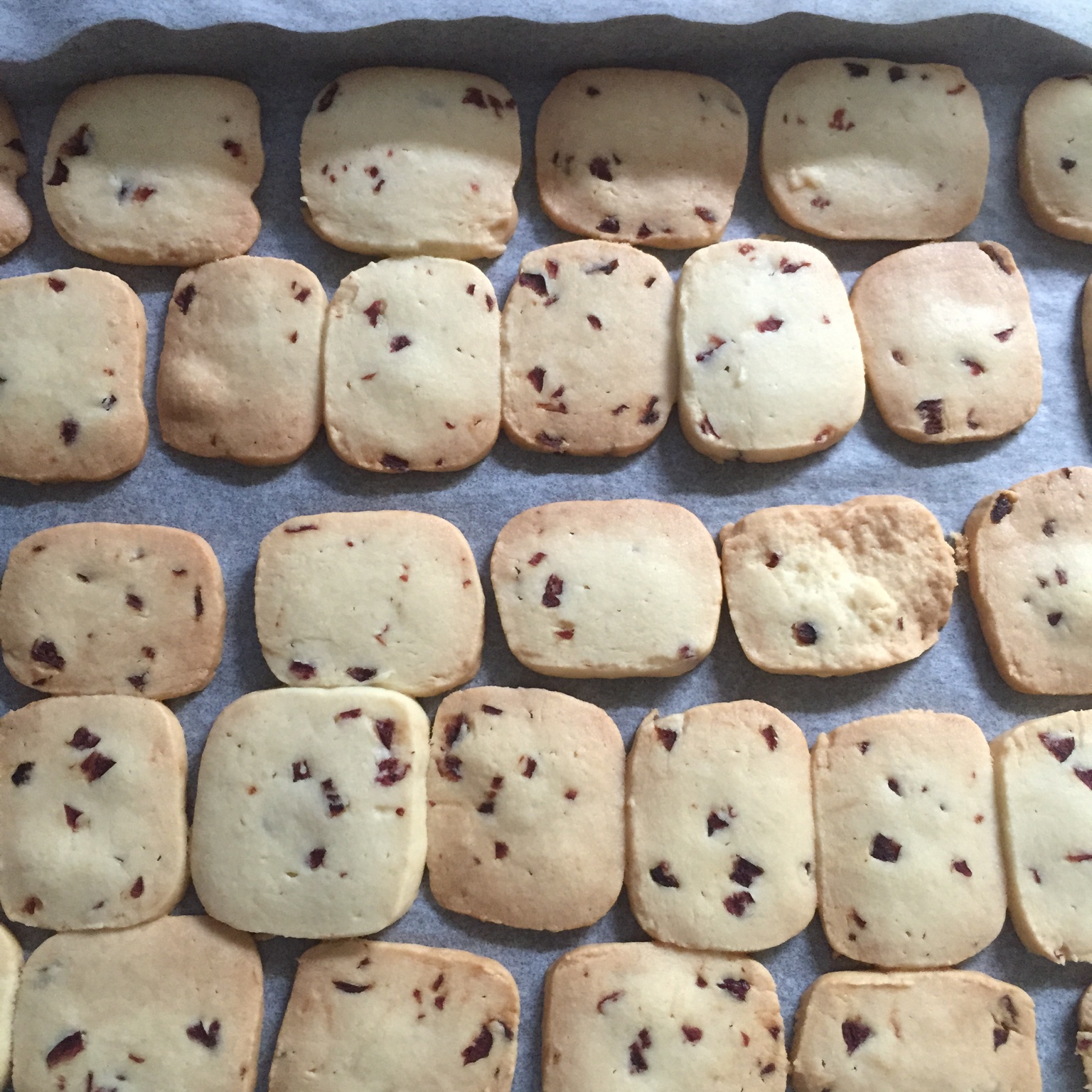 蔓越莓饼干