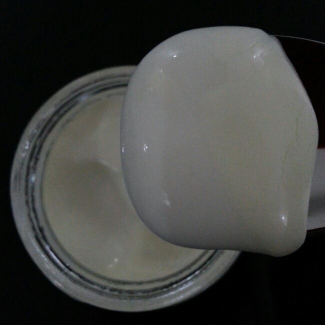 自制酸奶